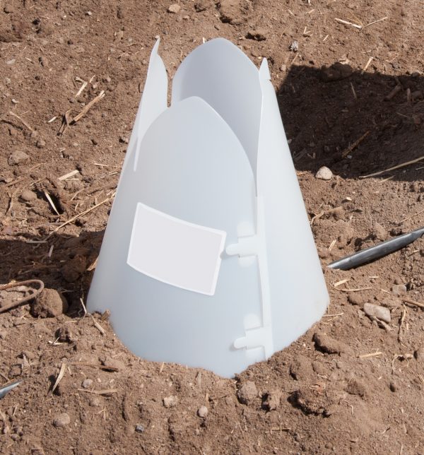 11 inch Plant Protector (Set of 4)