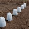 18 inch Plant Protector (Set of 4) - Image 3