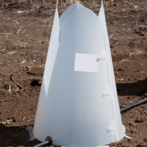18 inch Plant Protector (Set of 4)