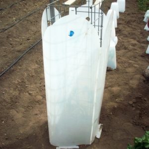 36 inch Giant Plant Protector
