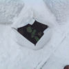 11 inch Plant Protector (Set of 4) - Image 10