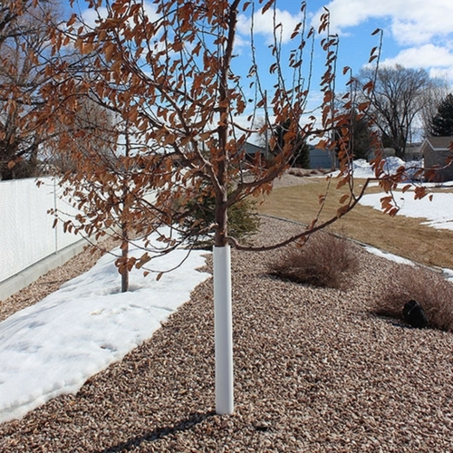 thumbnail image 2 of Aazon.co : 6 Pack Steel Tree Trunk Protectors With Zip Ties And Etal 2 of 14