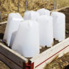 18 inch Plant Protector (Set of 4) - Image 7