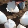 11 inch Plant Protector (Set of 4) - Image 6