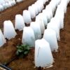 18 inch Plant Protector (Set of 4) - Image 9